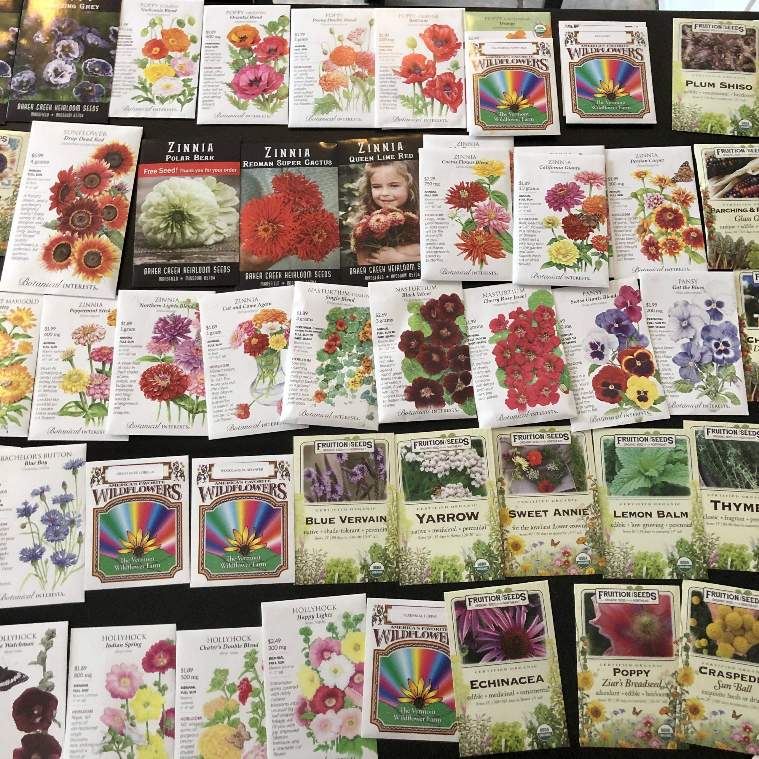 2020 Seed Planning - Seed to Sprout